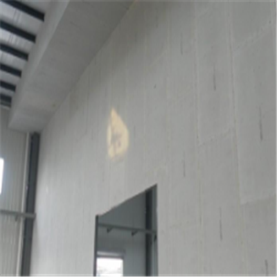 武汉新型建筑材料掺多种工业废渣的ALC|ACC|FPS模块板材轻质隔墙板